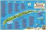 Roatan Honduras Dive Map & Reef Creatures Guide Franko Maps Laminated Fish Card