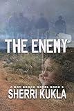 The Enemy (Dry Brook: Christian Mystery & Suspense Romance Book 3)