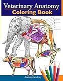 Veterinary Anatomy Coloring Book: Animals Physiology Self-Quiz Color Workbook for Studying and Relaxation | Perfect gift For Vet Students and even Adults