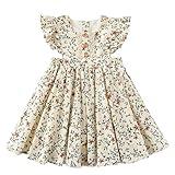 Colorful Childhood Baby Girls Dress Toddler Girls Flare Lace Trim Princess Party Dress (12-18 Months, Floral)