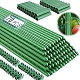 Fabulas Garden Stakes 16 Inch 70 Pack, Diy 4ft 5ft 6ft 7ft 8ft Tomato Stakes Plastic Coated Metal Plant Sticks Stakes Supports with 40 Connectors 30 Rotatable Clips for Indoor Outdoor Plants Vegetable