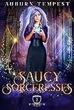 Saucy Sorceresses (Misty's Magick and Mayhem Book 2)