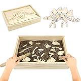 Dinosaur Excavation Archaeology Dig Kit for Kids, Fossil Explore Sensory Bin Toys, Dino Skeletons Bones Puzzle Game, Archaeology Science STEM Toys for Boys and Girls (Stegosaurus)