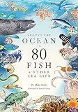 Around the Ocean in 80 Fish and other Sea Life (-)