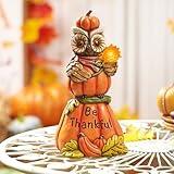 TERESA'S COLLECTIONS Outdoor Fall Decor for Garden Statues, Autumn Pumpkin Decor Owl & Sunflower with Solar Lights for Outside, Harvest Resin Fall Decorations for Home Yard, Thanksgiving Gifts, 10.4"