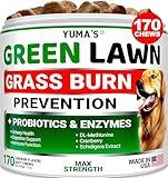 Dog Urine Neutralizer for Lawn - 170 Chews - Advanced Grass Green Savers for Dog Urine - Dog Pee Grass Neutralizer Supplement - Green Lawn Treats for Dogs with Probiotics and Digestive Enzymes