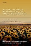 Resilience in Energy, Infrastructure, and Natural Resources Law: Examining Legal Pathways for Sustainability in Times of Disruption