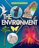 The Environment (How It Works)