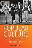 Popular Culture in American History