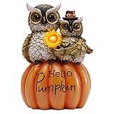 TERESA'S COLLECTIONS Outdoor Fall Decor for Garden Statues, Halloween Owl Pumpkin Decor with Solar Lights for Outside, Harvest Resin Fall Decorations for Porch, Thanksgiving Housewarming Gifts, 9.8"