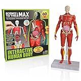 Be Amazing! Toys Interactive Human Body - 60 Piece Fully Poseable Anatomy Figure – 14” Tall Model - Anatomy Kit – Removable Muscles, Organs,Bones STEM Toy – Ages 8+