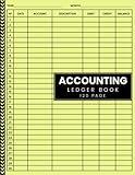 Accounting Ledger Book: Simple Accounting Ledger for Bookkeeping, Small Business and Personnel Financial Planning / Monthly Income and Expense Log Book 8.5 X 11