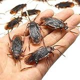 Ksquares Prank Fake Roaches, Favorite Trick Joke Toys Look Real, Scary Insects Realistic Plastic Bugs, Novelty Cockroach for Party, Christmas, Halloween