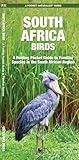 South Africa Birds: A Folding Pocket Guide to Familiar Species in the South African Region (Wildlife and Nature Identification)