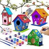 hapray 4 Pack Bird House Crafts for Kids Ages 5-8 8-12, Buildable DIY Birdhouse Kit for Children to Build, 3+ Summer Arts and Craft Projects with Paint, Boy Girl Gift Christmas