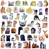 50 PC Funny Meme Animal Stickers Bulk Pack TikTok Dog Cat Fun Gag Ridiculous Stupid Waterproof Vinyl Sticker Decal Set for Water Bottle Laptop Computer Teens Adults Kids College Students Work Gifts