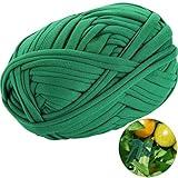 BBTO 30 Meter/ 98 Feet Green Garden Twine Garden Plant Tie Tree Tie Stretchy Plant Support Tie for Garden Office and Home Cable Organizing, Craft Supplies (1 Roll)