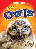 Baby Owls (Super Cute!)