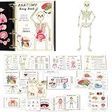 Human Anatomy Busy Book,Montessori Human Body Anatomy Busy Book for Kids,kindergarten Preschool Learning Activities,Toddler Busy Book,Autism Sensory Toys Learning Materials,Gift for Ages 4-9(1set)