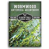 Wormwood Seeds for Planting - 1 Packet with Instructions to Plant and Grow Beneficial Medicinal Herbs in Your Home Herb Garden - Non-GMO Heirloom Variety - Survival Garden Seeds