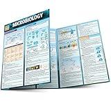 Microbiology: a Quickstudy Laminated Reference Guide (Quick Study Academic)