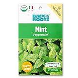 Back to the Roots Mint 'Peppermint' Seed Packet, 125mg, Green