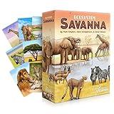 Ecosystem: Savanna - A Family Card Game About Animals on Grassy Woodland of African Savanna - Fun & Educational Ecology Game for Kids & Adults - Strategy Board Game for Gamers, Students & Teachers