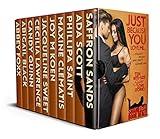 Just Because You Love Me: Ten Bite Size Spicy Love Stories (Shameless Book Bundles 15)