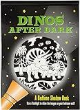 Dinos After Dark Bedtime Shadow Book