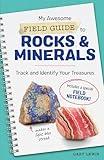 My Awesome Field Guide to Rocks and Minerals: Track and Identify Your Treasures (My Awesome Field Guide for Kids)