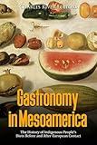 Gastronomy in Mesoamerica: The History of Indigenous People’s Diets Before and After European Contact