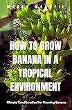 How To Grow Banana In A Tropical Environment: Climate Consideration For Growing Banana