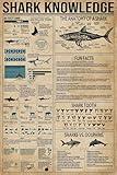 Shark Knowledge Funny Metal Tin Sign The Anatomy Of A Shark Retro Poster School Education Technology Museum Living Room Kitchen Bathroom Home Art Wall Decoration Plaque Gift