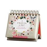 DaySpring - A Prayer a Day for Hope & Encouragement: an Inspirational DaySpring DayBrightener (Perpetual Calendar) (J0523)