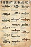 Smilelife Boy's Fishing Gifts Vintage Fresh Water Gamefish Knowledge Tin Sign for Man Cave Bedroom Lake House Cabin Wall Art Decor 8x12 Inch (3069)