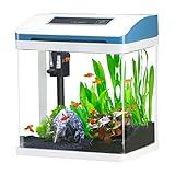 Small Fish Tank 2 Gallon Glass Aquarium Starter Kits Self Cleaning w/Colorful LED Light for Betta Shrimp Guppy Jellyfish Goldfish Beta,Room Decor Desktop, Gifts