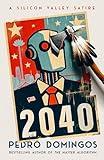 2040: A Silicon Valley Satire