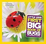 National Geographic Little Kids First Big Book of Bugs (National Geographic Little Kids First Big Books)