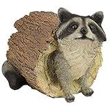 Design Toscano QM24625001 Bandit the Raccoon Indoor/Outdoor Garden Animal Statue, 7 Inches Wide, 10 Inches Deep, 7 Inches High, Handcast Polyresin, Full Color Finish