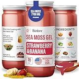 Biolore Sea Moss Gel 7700mg Strawberry Banana Made in USA Raw Wildcrafted Irish Seamoss Essential Vitamins Trace Minerals Vegan Superfood for Immune Support, Jam, Jelly & Sweet Spread Gifts (Strawberry-Banana 16OZ)