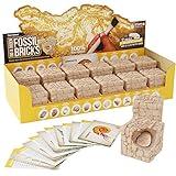 Dig a Dozen Fossil Bricks - Break Open 12 Bricks and Discover 12 Unique Real Fossils - Archaeology Science STEM Easter Gift