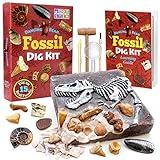 DANCING BEAR Fossil Dig Kit, Excavate 15 Prehistoric Fossils Including Real Dinosaur Bones and Shark Teeth, Paleontology STEM Education for Kids, Fun Science Activity Gift Sets for Girls and Boys