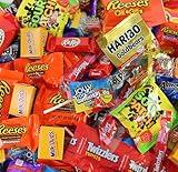 Chocolate and Candy Variety Pack - 2 LB Assorted Chocolate Candy Bulk - Bulk Candy Bag Candy Mix - Easter Candy Bulk Individually Wrapped Candy - Chocolates - Variety Candy Bag