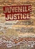 Juvenile Justice: An Introduction to Process, Practice, and Research