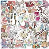 Cool Anatomy Stickers, Biology Anatomy Stickers for Students Teachers, 50Pcs Waterproof Vinyl Stickers for Water Bottle Laptop Scrapbook, Halloween Stickers Bulk, Human Anatomy Decals (Anatomy)