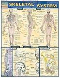 Skeletal System (Quick Study Academic)