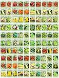 100 Assorted Heirloom Vegetable Seeds 100% Non-GMO (100, Deluxe Assorted Vegetable Seeds)