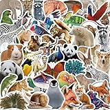 Cute Animal Stickers, Zoo Animals Stickers, Realistic Animals Decal for Kids Teens, 50Pcs Hapiuen Vinyl Waterproof Sticker for Water Bottles, Laptop