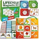 QUOKKA Life Cycle Kit Toy Montessori - 30 Flash Cards Toddler Science Activities for Kids Ages 2-4 - Prek Animal Learning Materials 3-5 - 120 Magnetic Toddler Classroom Must Haves for Preschool