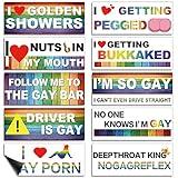 Frienda 10 Pcs Bumper Decals Funny LGBT Car Stickers Rainbow Bumper Stickers Prank Car Stickers Colorful Car Accessories for Truck Vehicle Luggage Window Refrigerator(Magnetic,Classic Style)